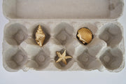 Seashell Hairclips