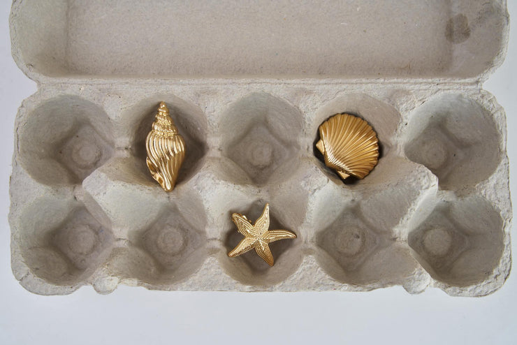 Seashell Hairclips