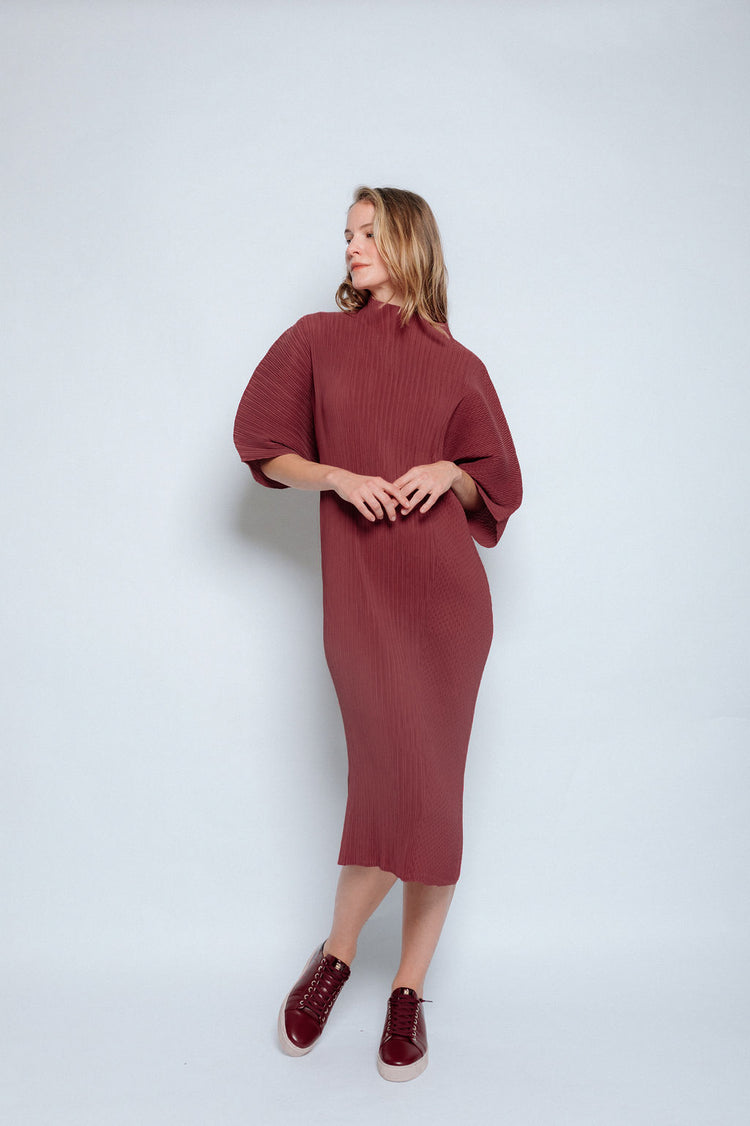 Robinia Pleated Dress – celeni