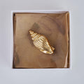 Seashell Hairclips