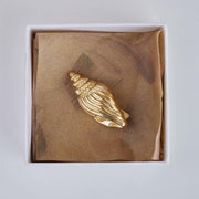 Seashell Hairclips