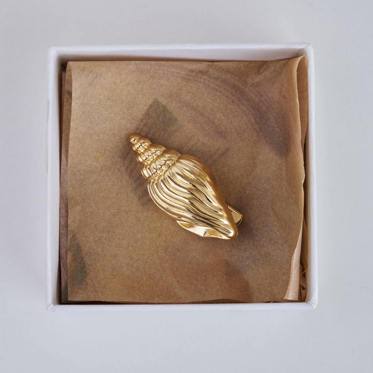 Seashell Hairclips
