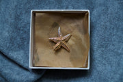 Seashell Hairclips