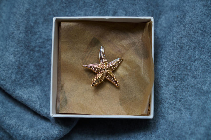 Seashell Hairclips
