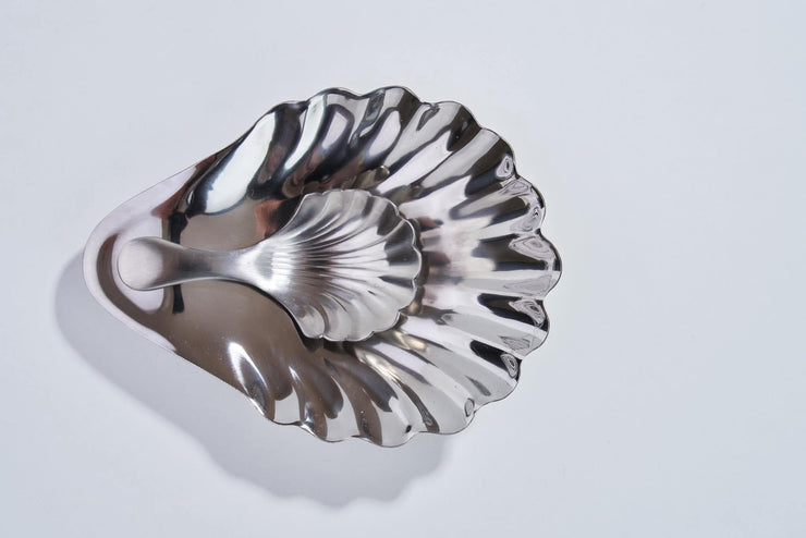 Seashell Small Spoon