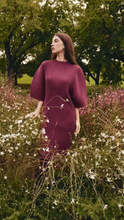 Robinia Pleated Dress